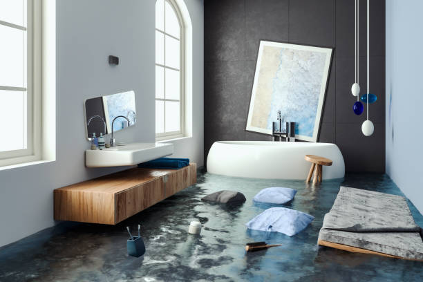 Best Flood damage cleanup  in , KS