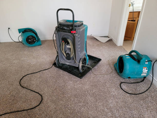 Best Sewage cleanup and water damage restoration  in , KS