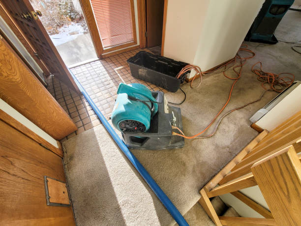 Best 24-hour water damage restoration  in , KS