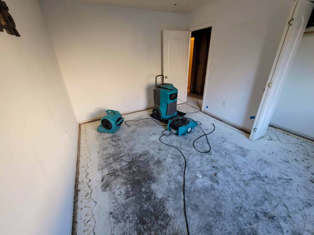 Best Water damage restoration company  in , KS