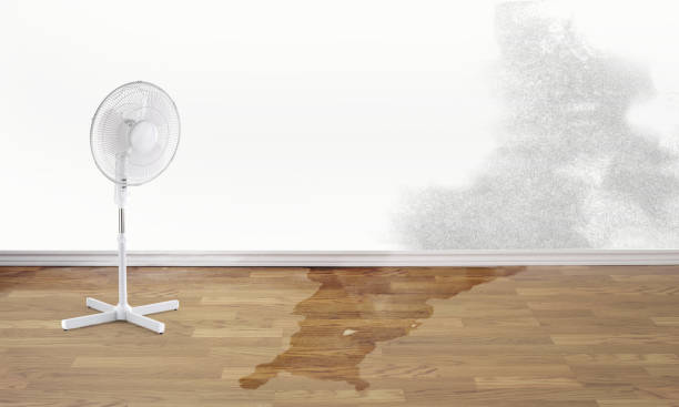 Best Water damage contractors near me  in , KS