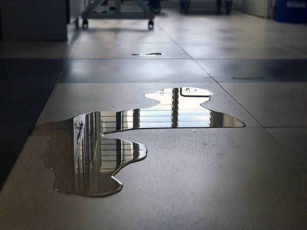 Best Commercial water damage restoration  in , KS