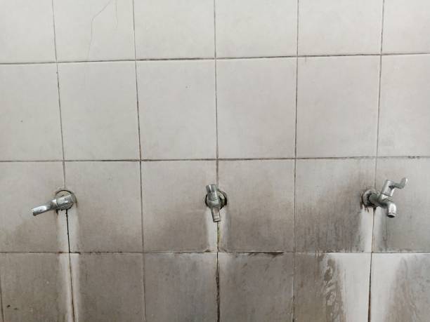 Best Water damage cleanup near me  in , KS