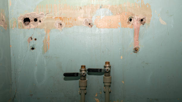 Best Carpet water damage restoration  in , KS