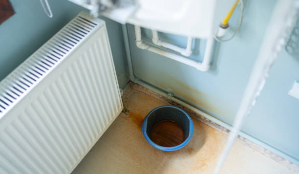 Best Ceiling water damage repair  in , KS